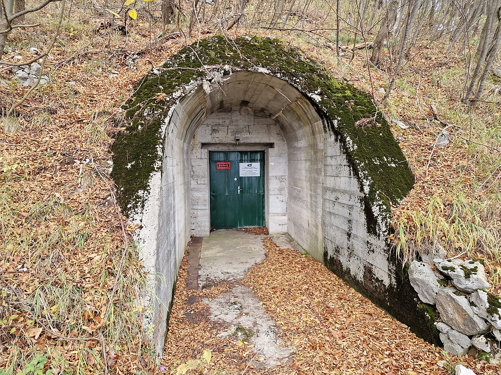 Donačka gora in Boč, 1. 11. 2025