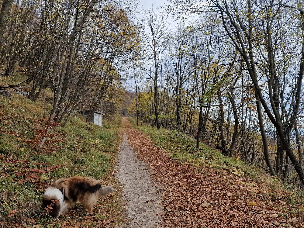Donačka gora in Boč, 1. 11. 2025