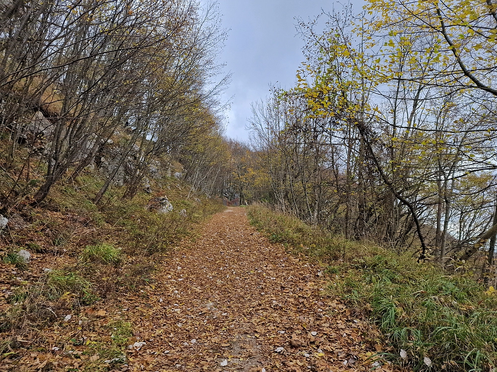 Donačka gora in Boč, 1. 11. 2025
