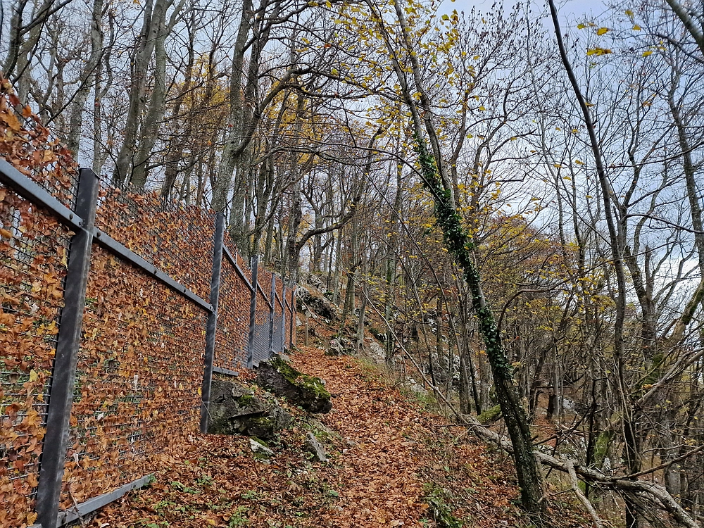 Donačka gora in Boč, 1. 11. 2025