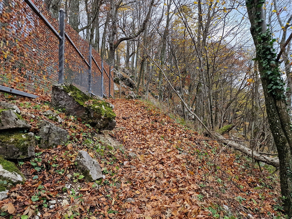 Donačka gora in Boč, 1. 11. 2025