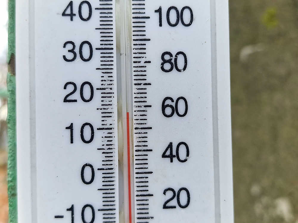 Donačka gora in Boč, 1. 11. 2025