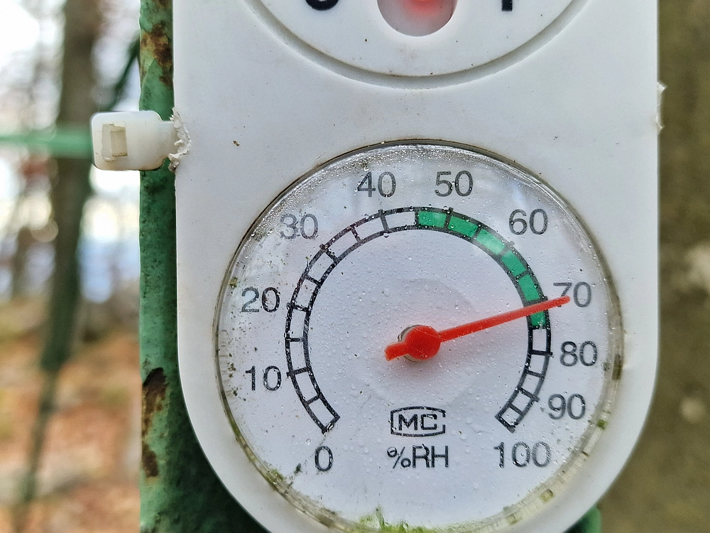 Donačka gora in Boč, 1. 11. 2025