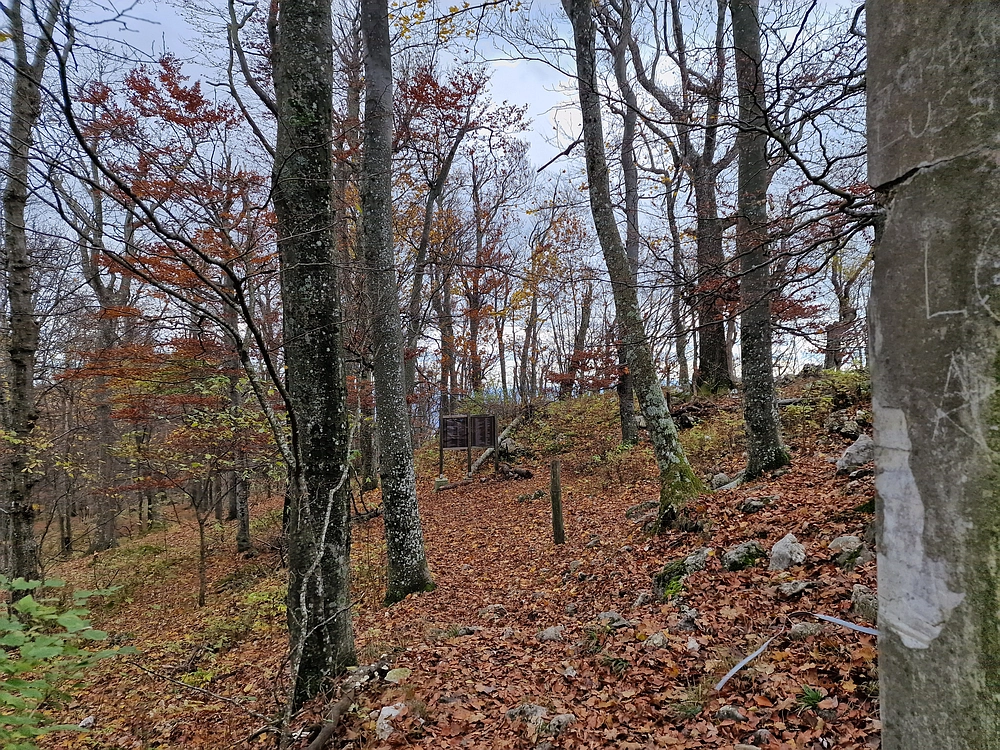 Donačka gora in Boč, 1. 11. 2025