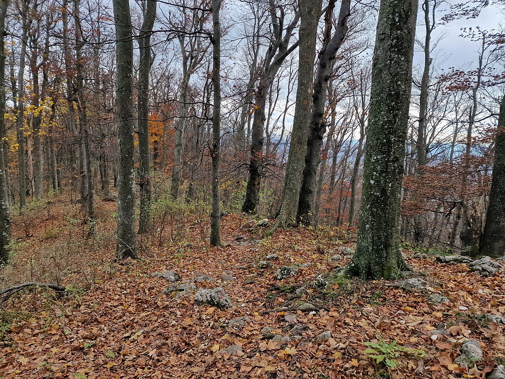 Donačka gora in Boč, 1. 11. 2025