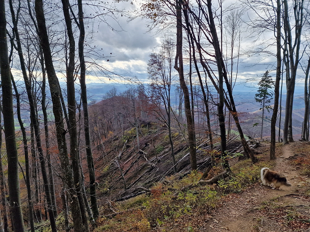 Donačka gora in Boč, 1. 11. 2025