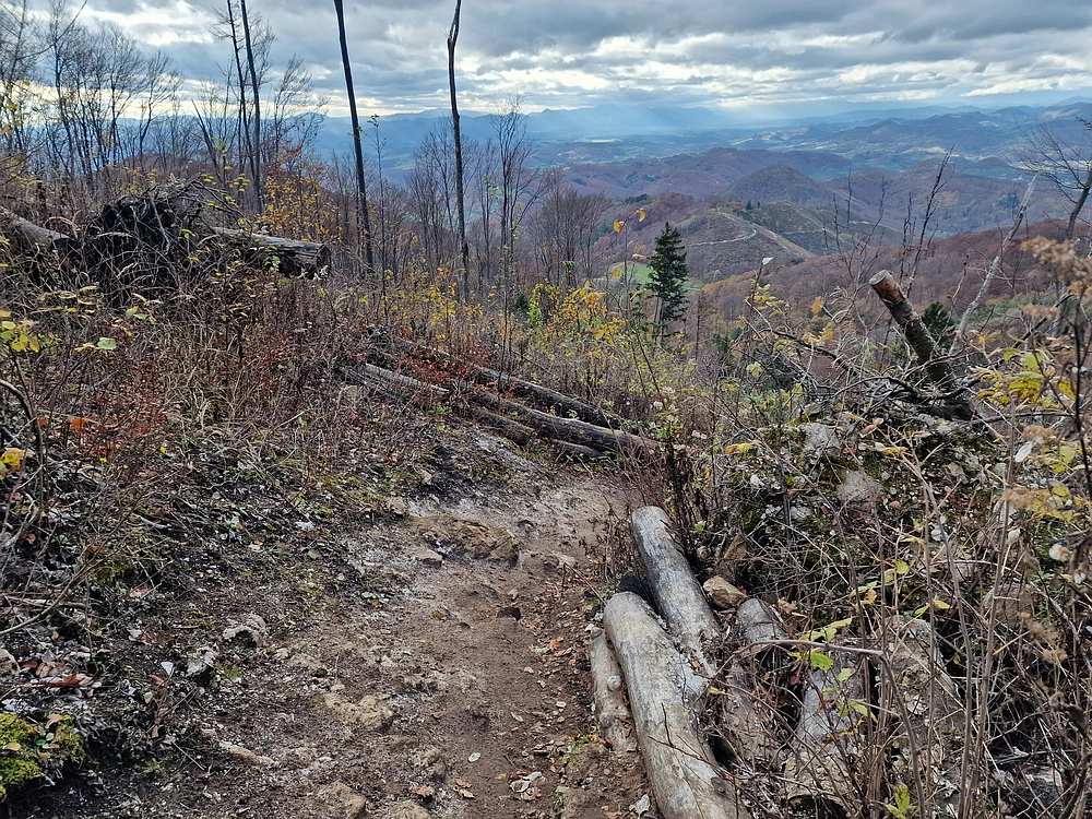 Donačka gora in Boč, 1. 11. 2025
