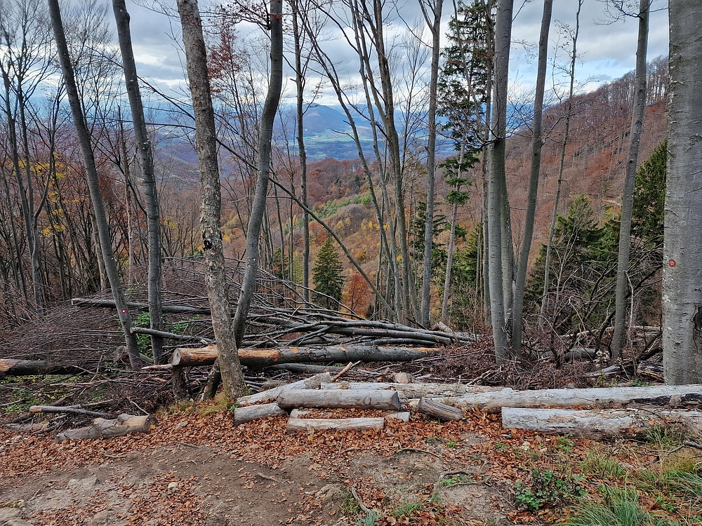 Donačka gora in Boč, 1. 11. 2025