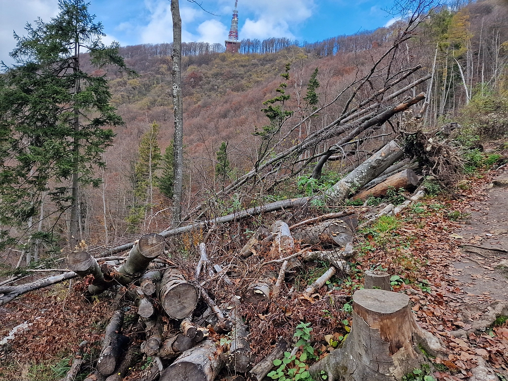 Donačka gora in Boč, 1. 11. 2025