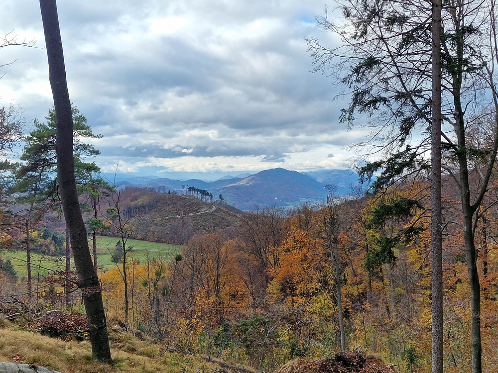 Donačka gora in Boč, 1. 11. 2025