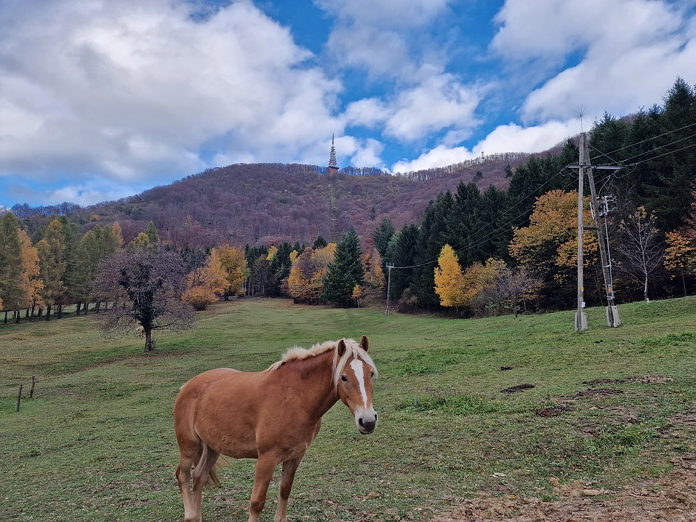 Donačka gora in Boč, 1. 11. 2025