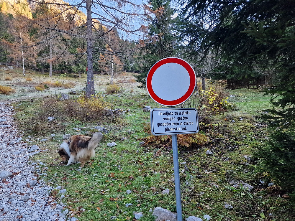 Srednji vrh, 9. 11. 2025