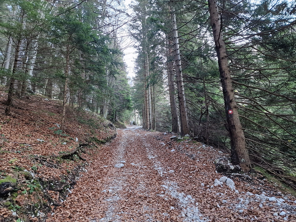 Srednji vrh, 9. 11. 2025