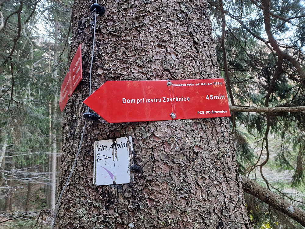 Srednji vrh, 9. 11. 2025