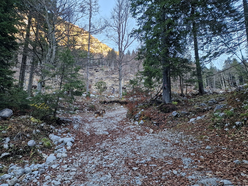 Srednji vrh, 9. 11. 2025