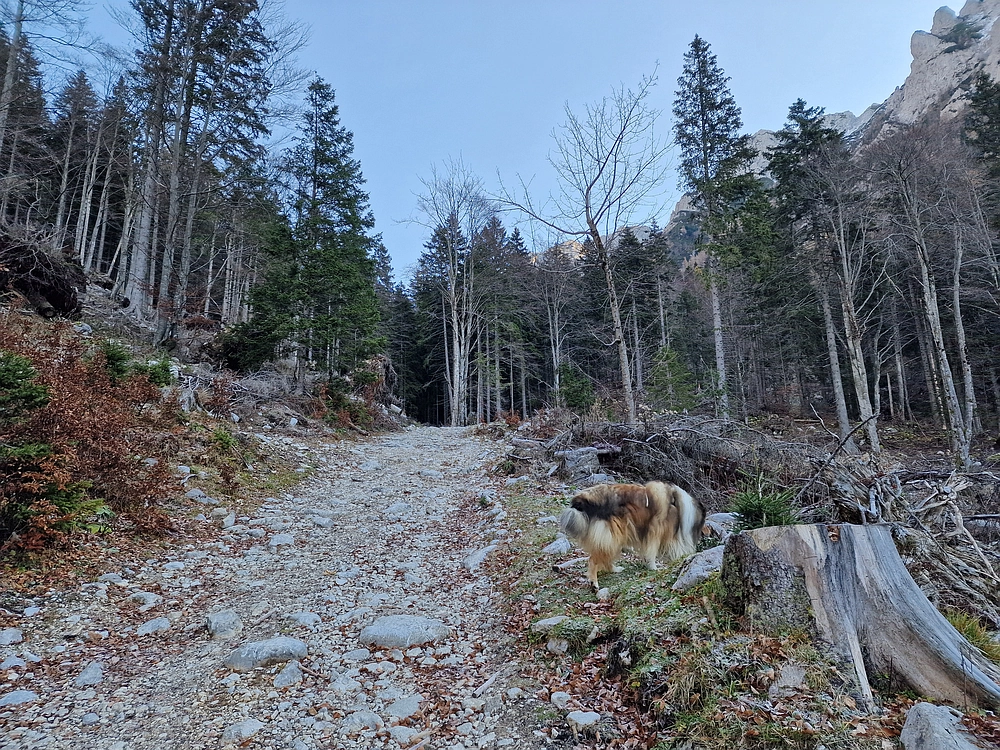 Srednji vrh, 9. 11. 2025