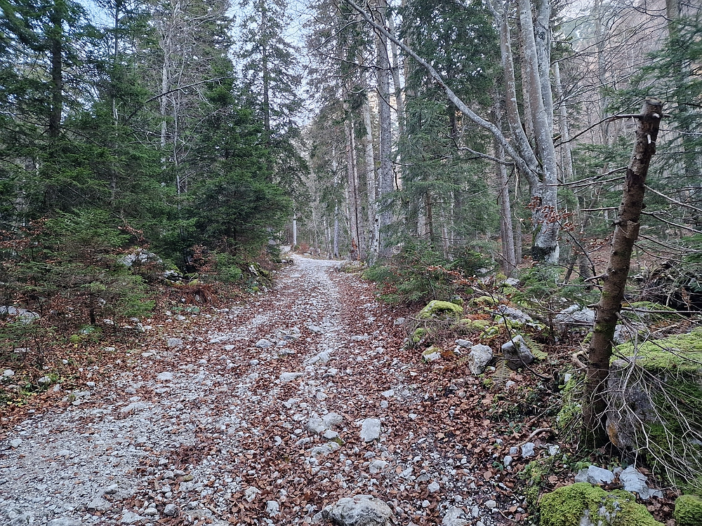 Srednji vrh, 9. 11. 2025