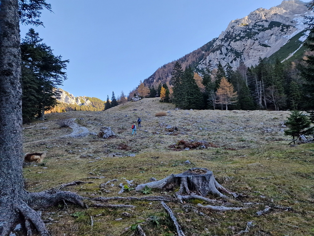 Srednji vrh, 9. 11. 2025