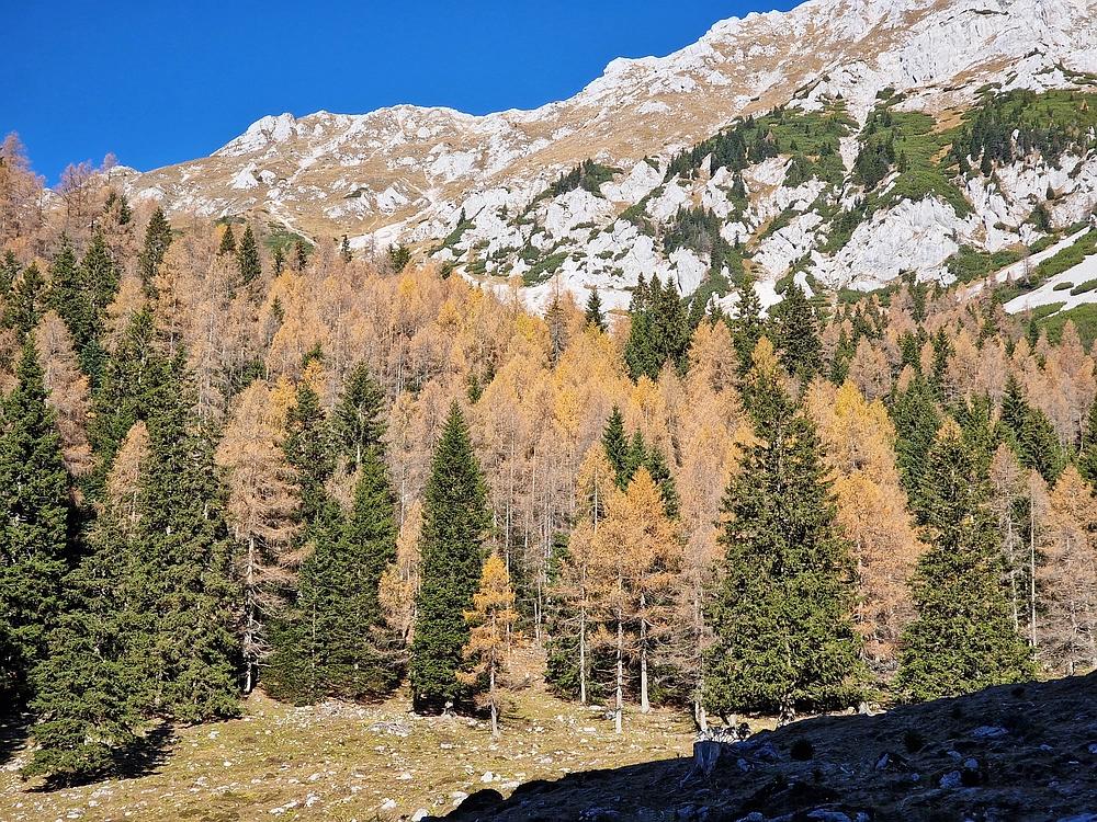 Srednji vrh, 9. 11. 2025