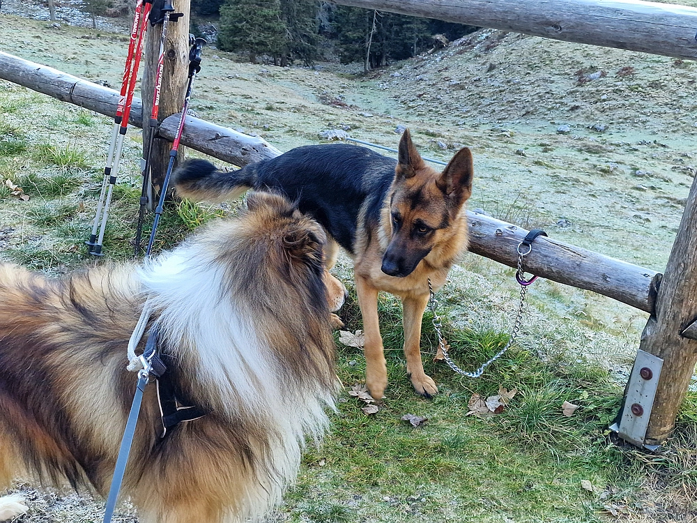 Srednji vrh, 9. 11. 2025