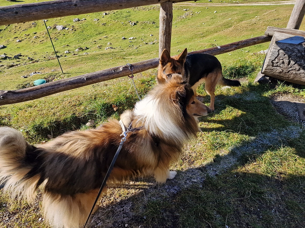 Srednji vrh, 9. 11. 2025