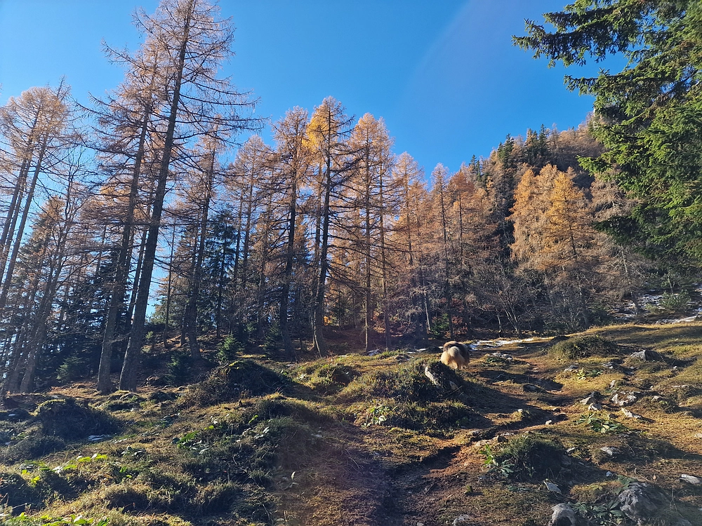 Srednji vrh, 9. 11. 2025