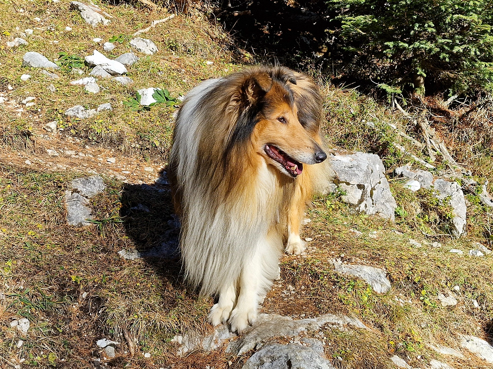 Srednji vrh, 9. 11. 2025