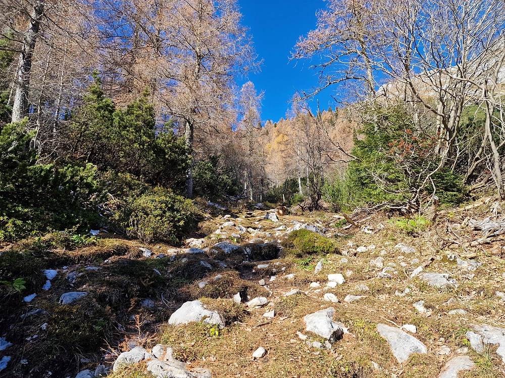 Srednji vrh, 9. 11. 2025