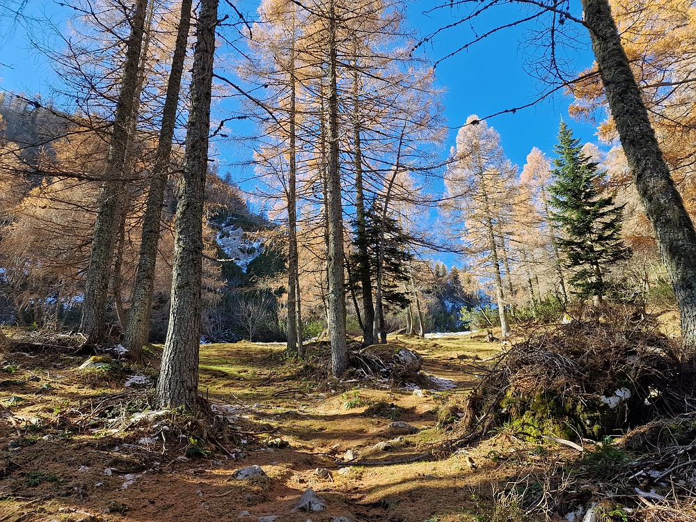 Srednji vrh, 9. 11. 2025