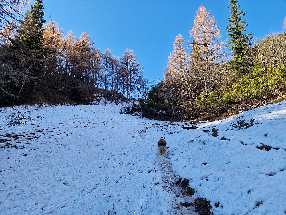 Srednji vrh, 9. 11. 2025