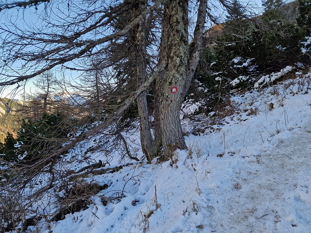 Srednji vrh, 9. 11. 2025