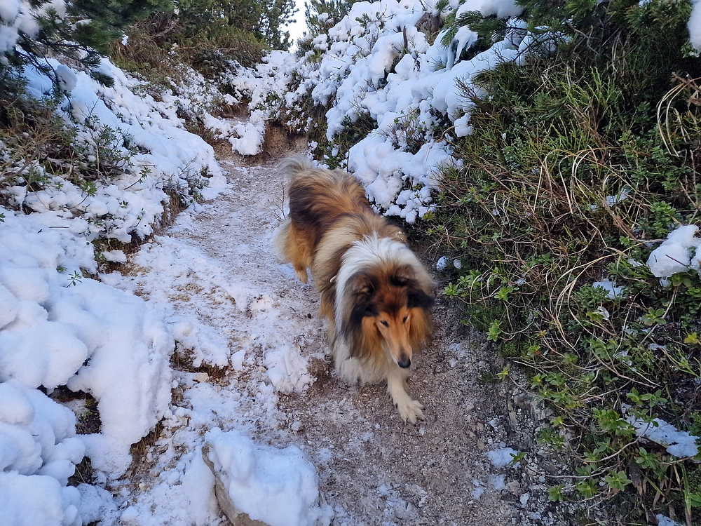 Srednji vrh, 9. 11. 2025