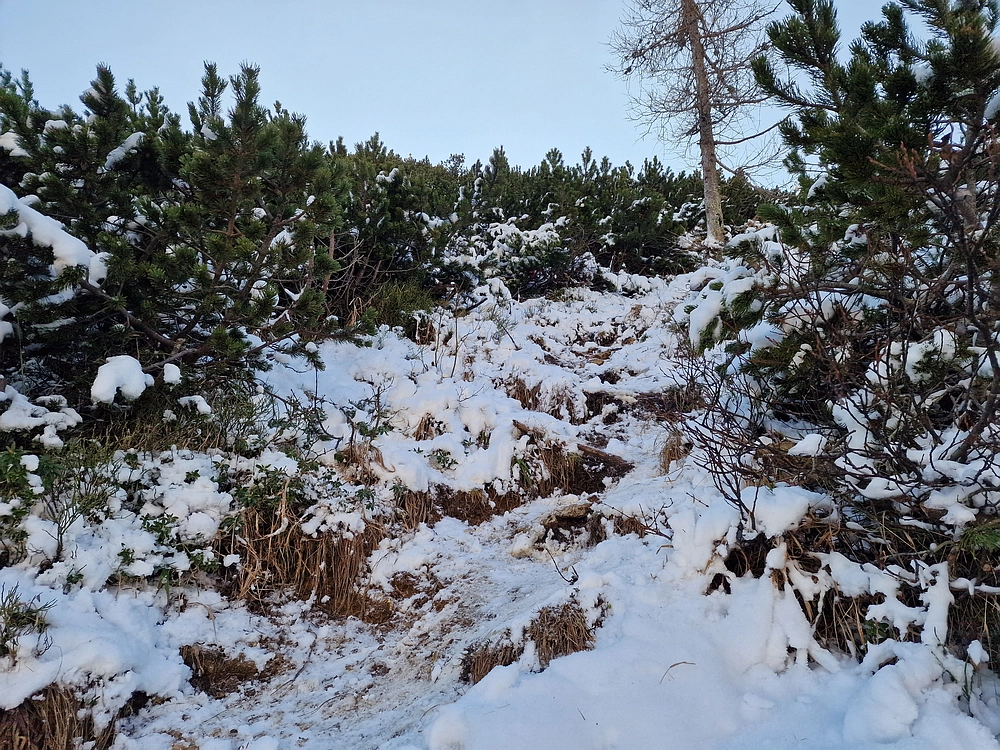 Srednji vrh, 9. 11. 2025