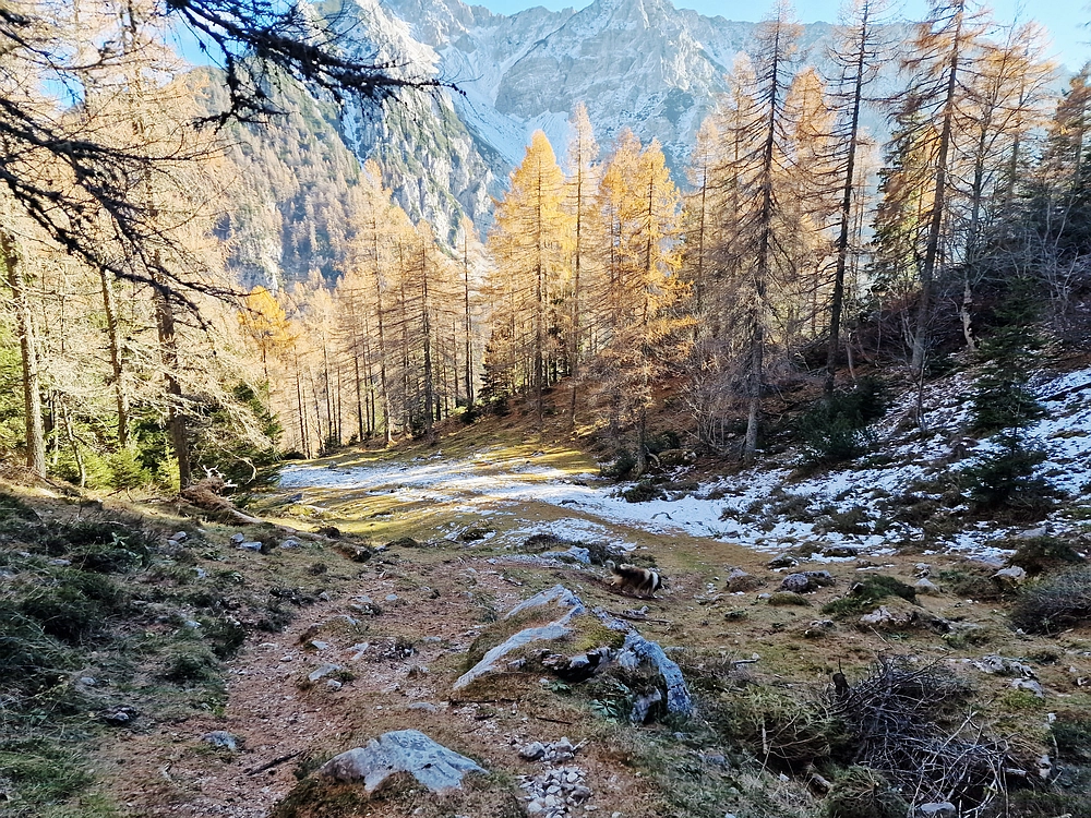 Srednji vrh, 9. 11. 2025