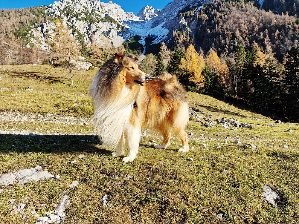 Srednji vrh, 9. 11. 2025