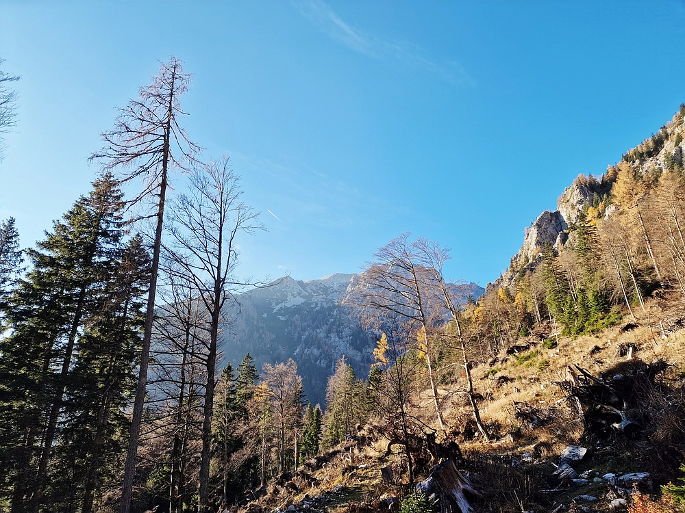 Srednji vrh, 9. 11. 2025