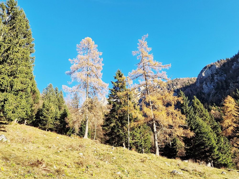 Srednji vrh, 9. 11. 2025