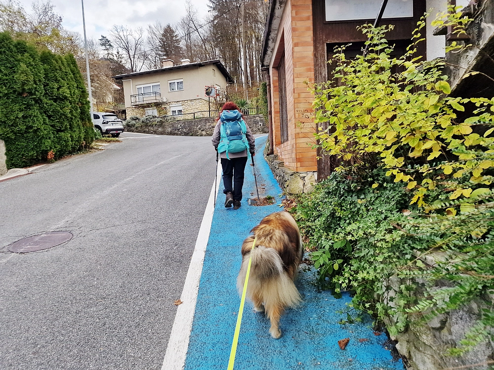 Žrebljev hrib, 15. 11. 2025