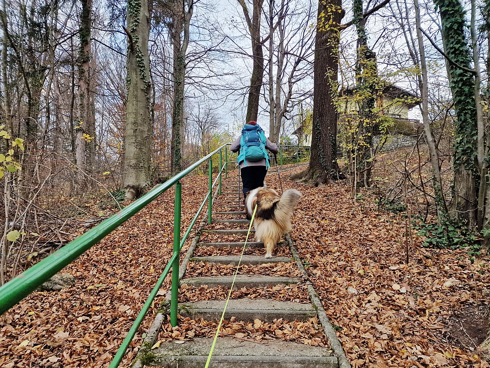 Žrebljev hrib, 15. 11. 2025