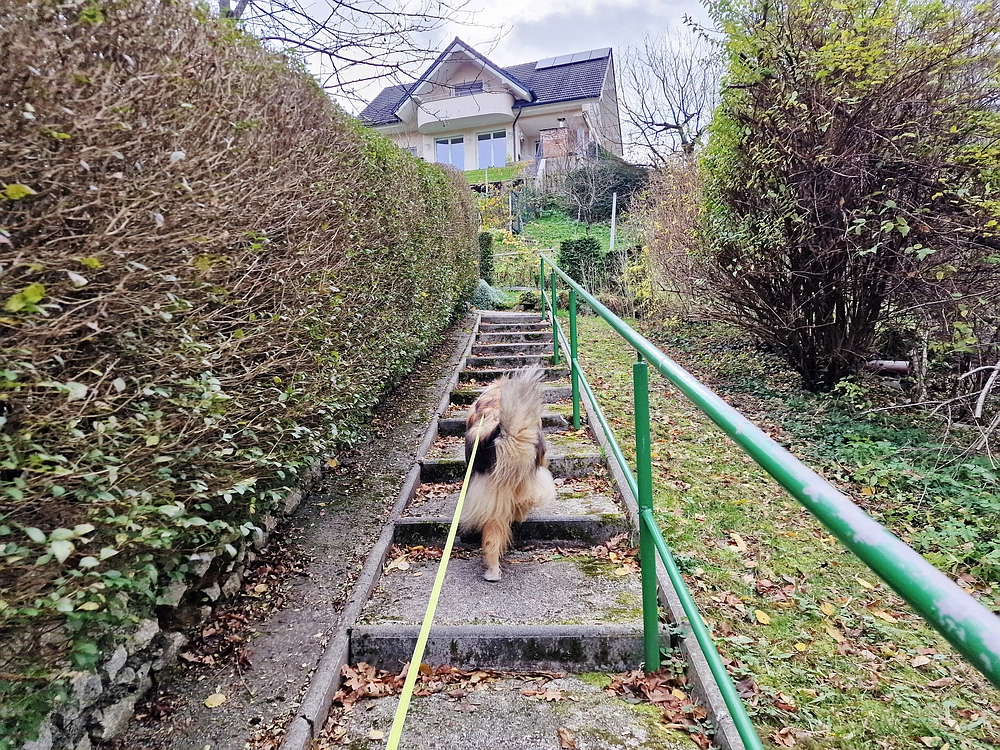 Žrebljev hrib, 15. 11. 2025