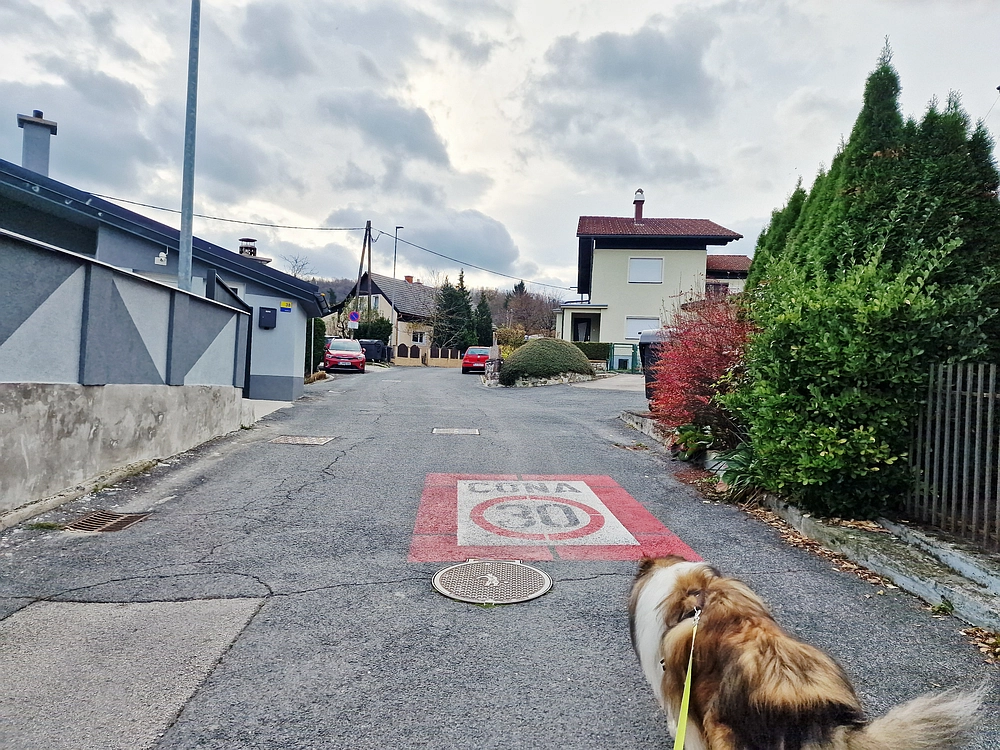 Žrebljev hrib, 15. 11. 2025