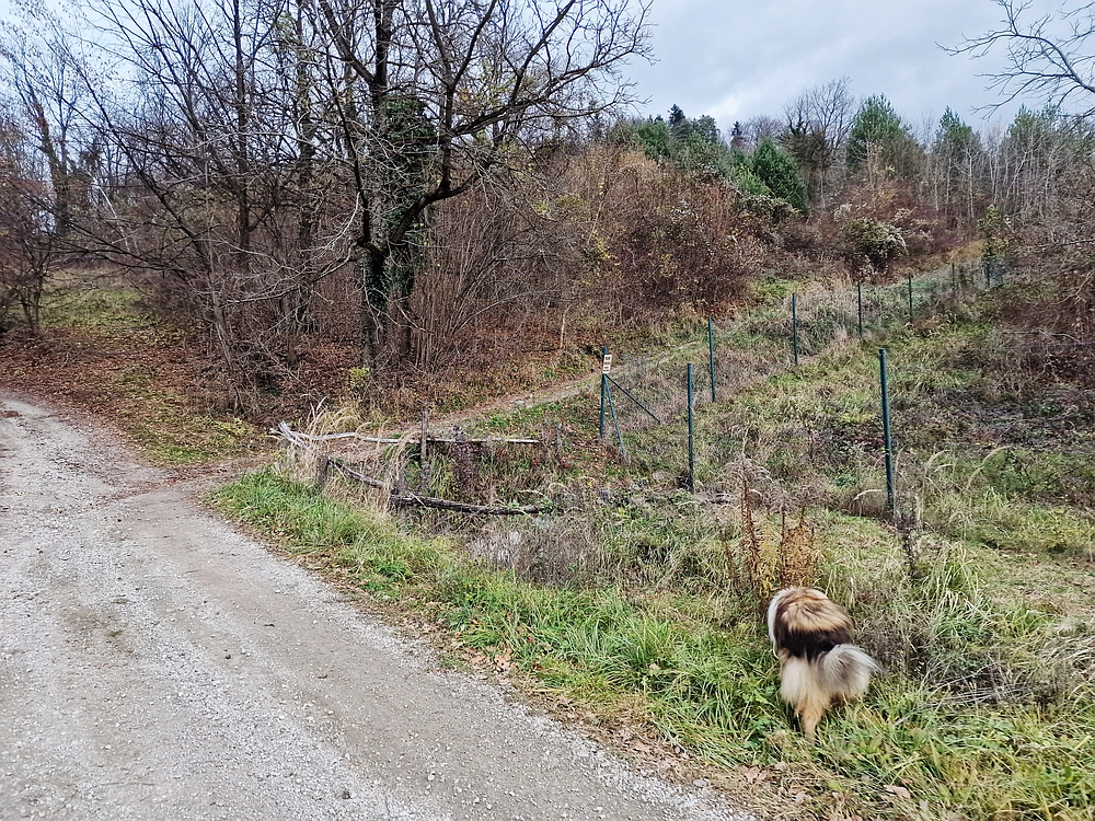 Žrebljev hrib, 15. 11. 2025