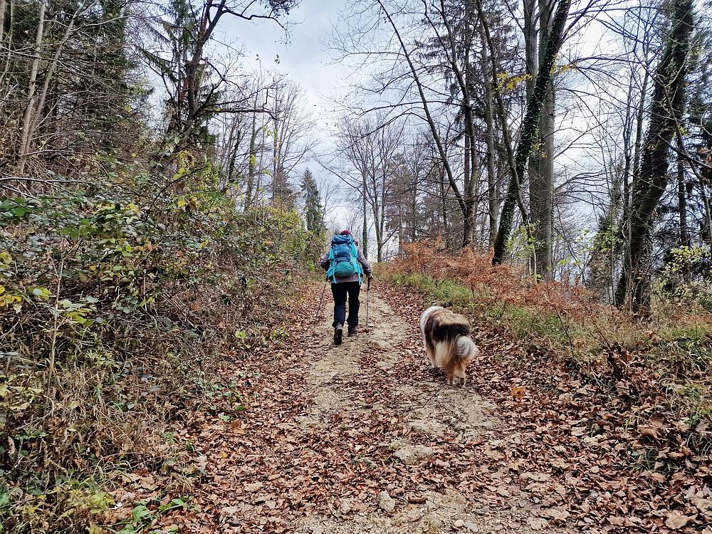 Žrebljev hrib, 15. 11. 2025