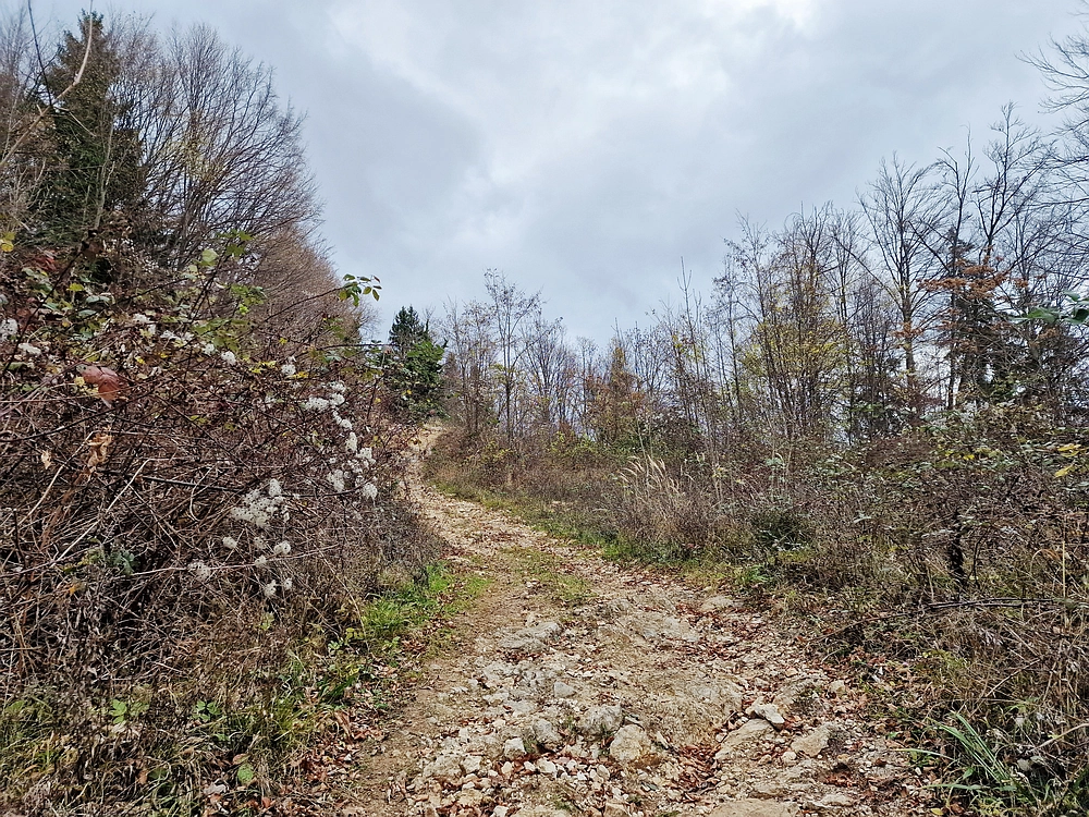 Žrebljev hrib, 15. 11. 2025
