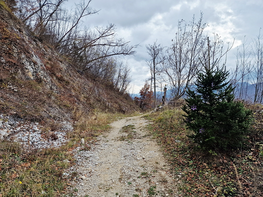 Žrebljev hrib, 15. 11. 2025