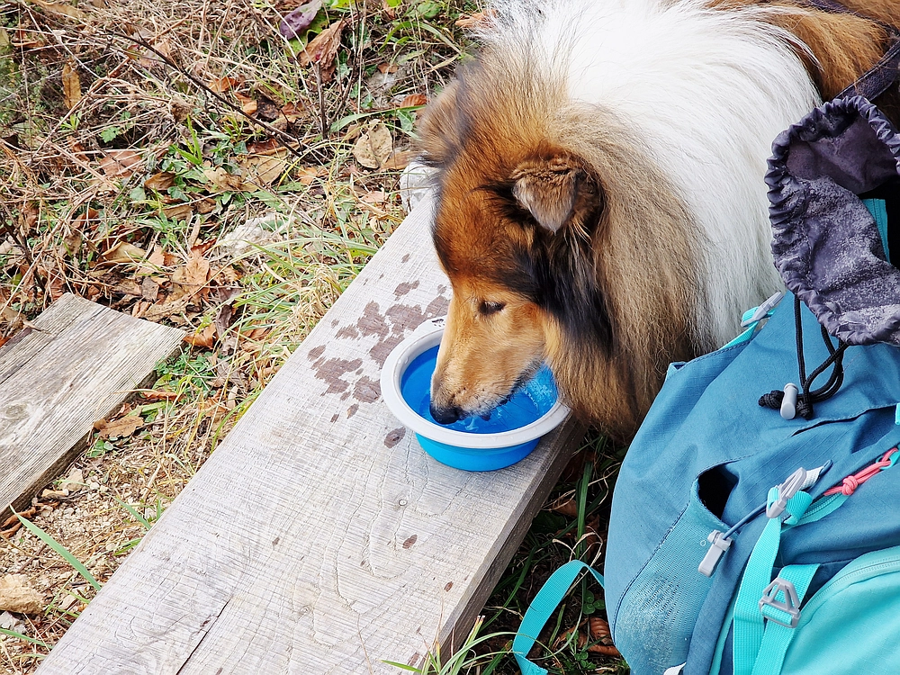 Žrebljev hrib, 15. 11. 2025