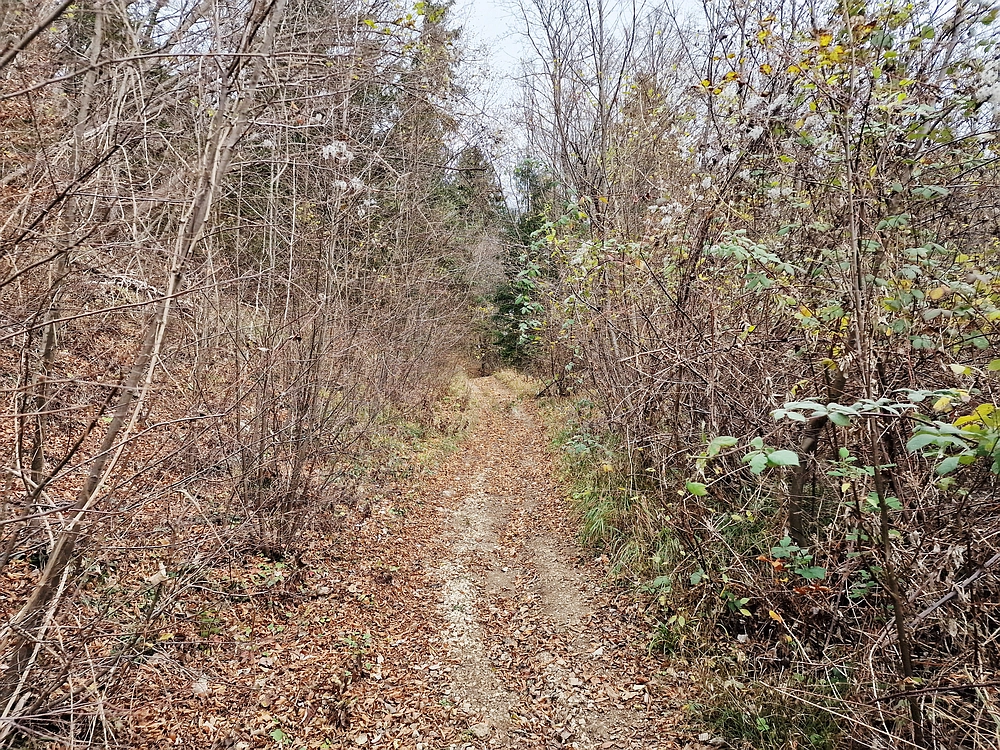 Žrebljev hrib, 15. 11. 2025