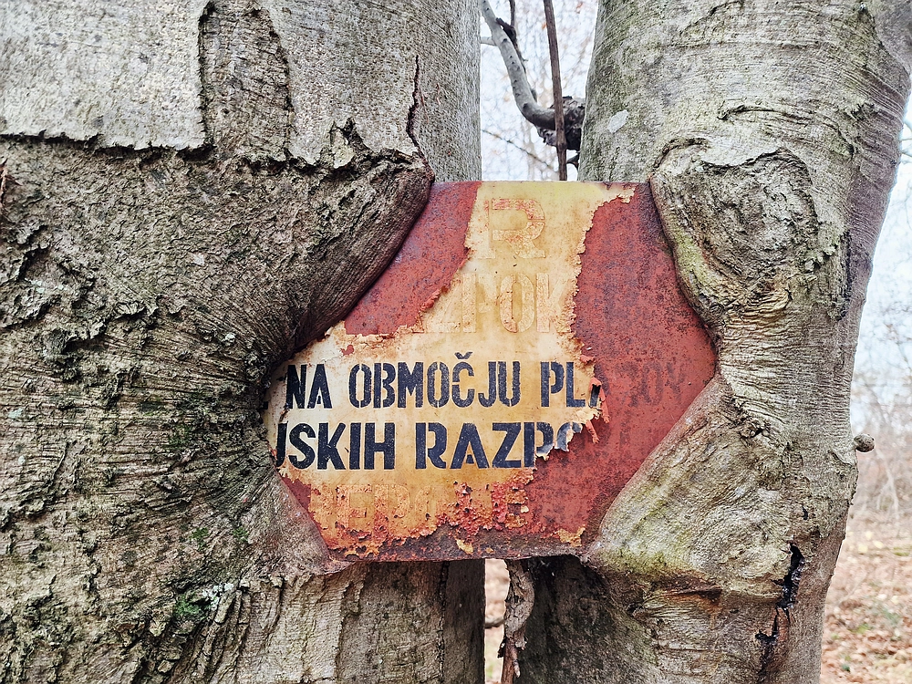 Žrebljev hrib, 15. 11. 2025