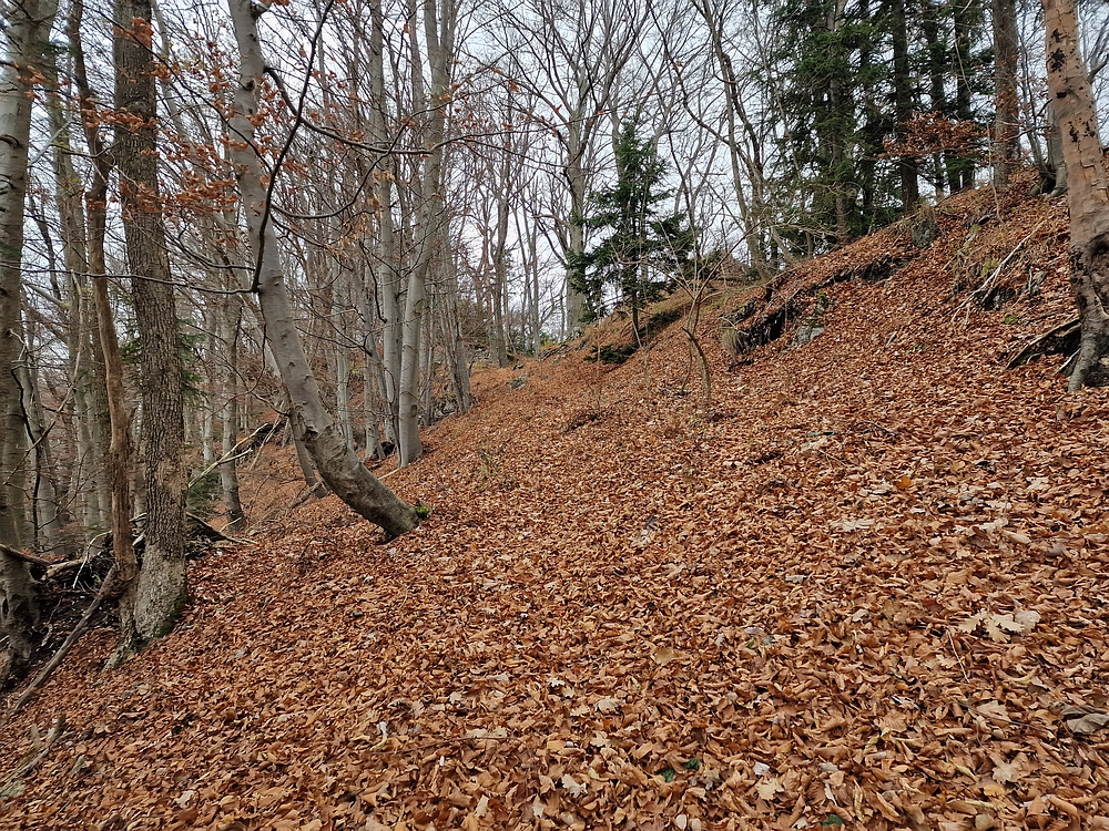 Žrebljev hrib, 15. 11. 2025