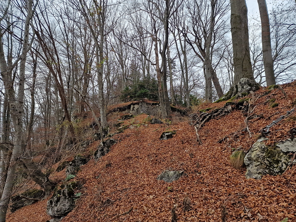 Žrebljev hrib, 15. 11. 2025